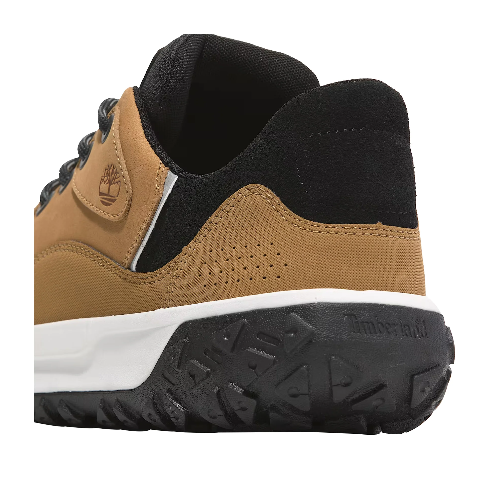 Sneakers Uomo Basse GreenStride - Image 7